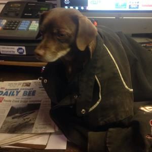 Meet your Posher, Shaun